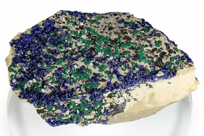 Vivid Blue Azurite & Green Malachite Crystals on Matrix - Congo #348527